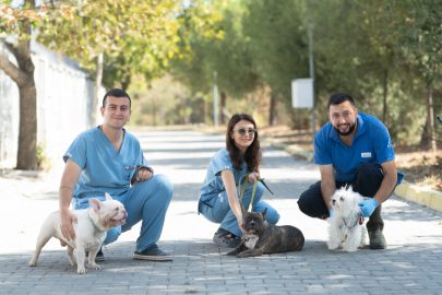 Bayraklı’daki Hayvan Şiddeti Olayında Köpekler Işıkkent’te Güvenliğe Alındı ve Tedavi Süreci Başladı