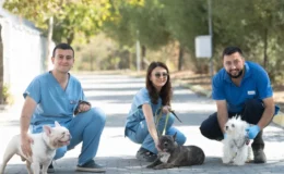 Bayraklı’daki Hayvan Şiddeti Olayında Köpekler Işıkkent’te Güvenliğe Alındı ve Tedavi Süreci Başladı
