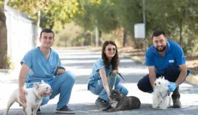 Bayraklı’daki Hayvan Şiddeti Olayında Köpekler Işıkkent’te Güvenliğe Alındı ve Tedavi Süreci Başladı