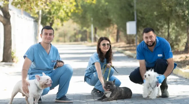 Bayraklı’daki Hayvan Şiddeti Olayında Köpekler Işıkkent’te Güvenliğe Alındı ve Tedavi Süreci Başladı