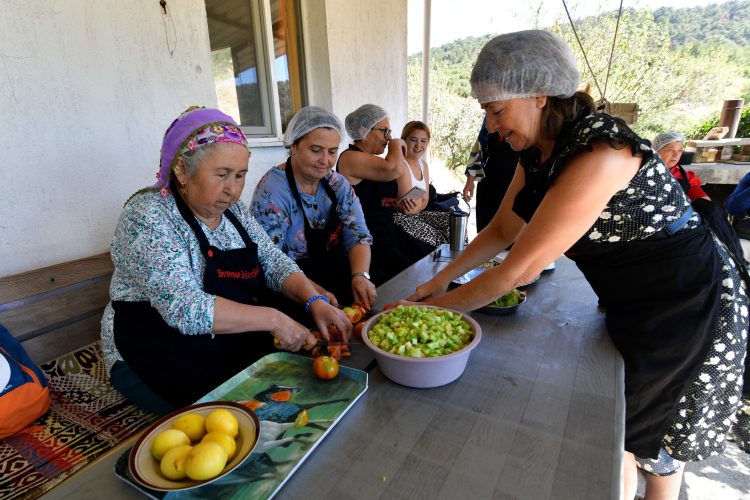 Köy Reçellerinin Buluşması: Türkiye’nin İlk Reçel Festivali Başlıyor