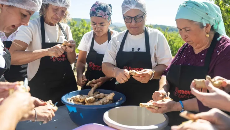 Köy Reçellerinin Buluşması: Türkiye’nin İlk Reçel Festivali Başlıyor