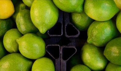 Limon ve Elma İhracatında Kayda Bağlı Uygulama: İç Piyasa Dengesini Korumaya Yönelik Yeni Tedbirler