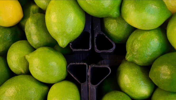 Limon ve Elma İhracatında Kayda Bağlı Uygulama: İç Piyasa Dengesini Korumaya Yönelik Yeni Tedbirler