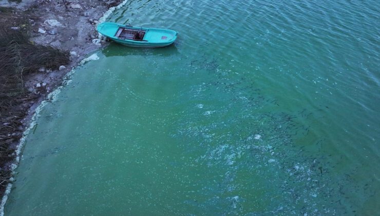 Terkos Barajı’nda Su Rengi Değişimi ve Kıyı Köpükleri: Drone Görüntüleriyle Anlık İzlenim